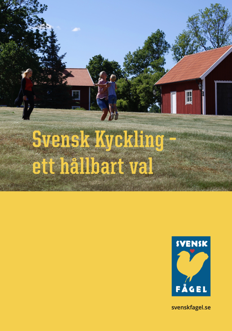 Svensk kyckling - ett hållbart val