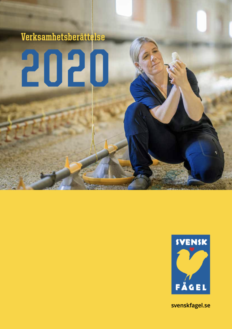 Verksamhetsberattelse 2020