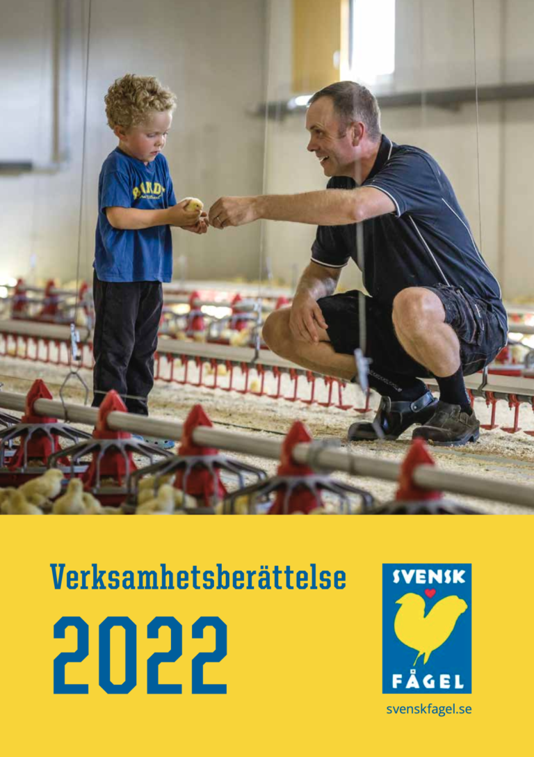 Verksamhetsberattelse 2022