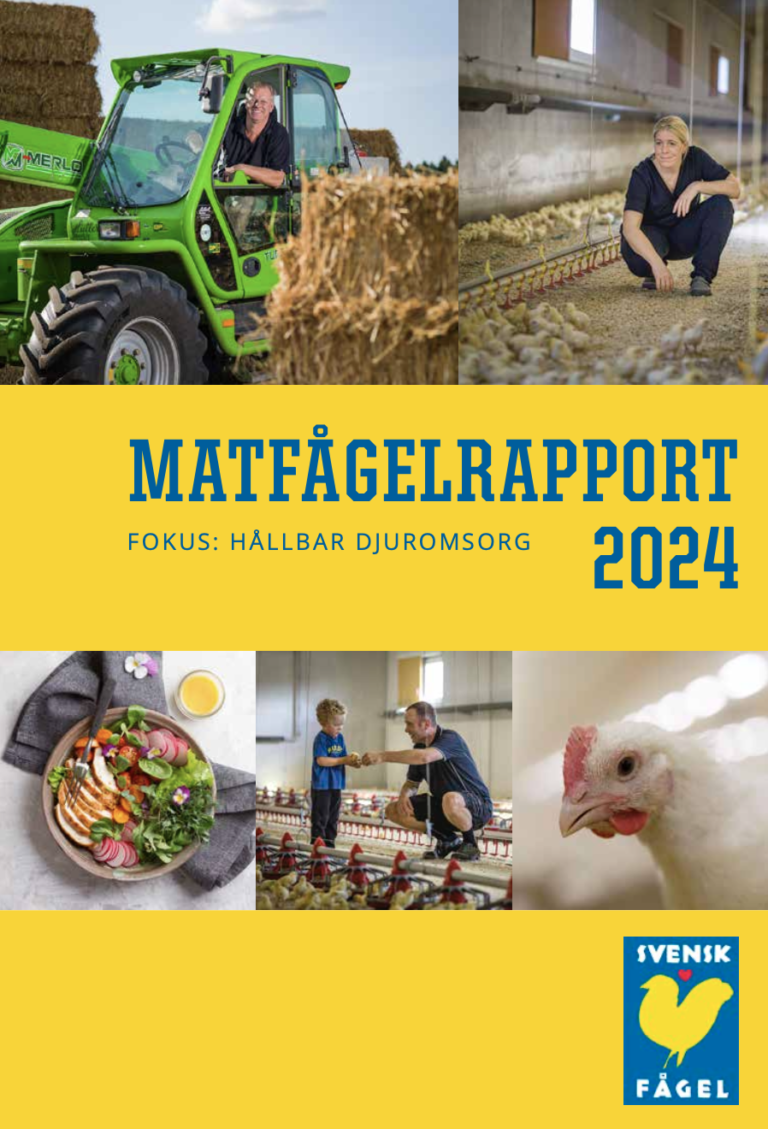 Matfågelrapporten 2024