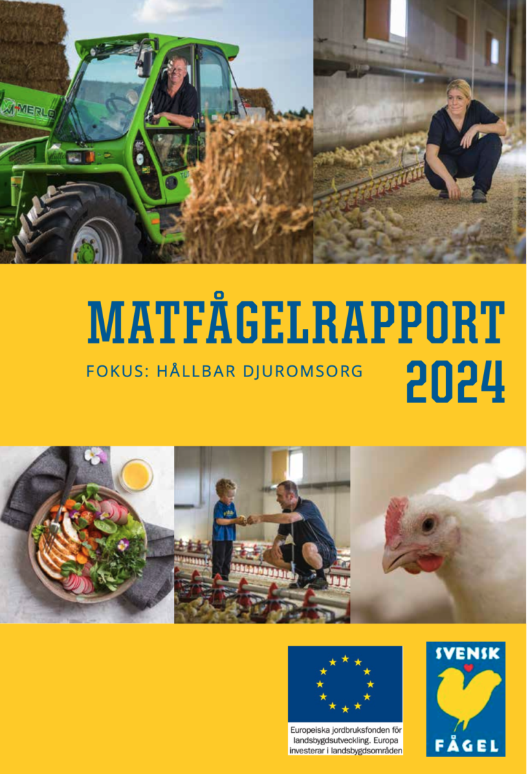 Matfågelrapport 2024