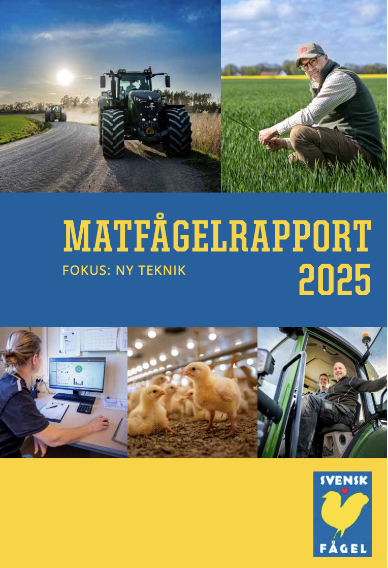 Matfågelrapport 2025