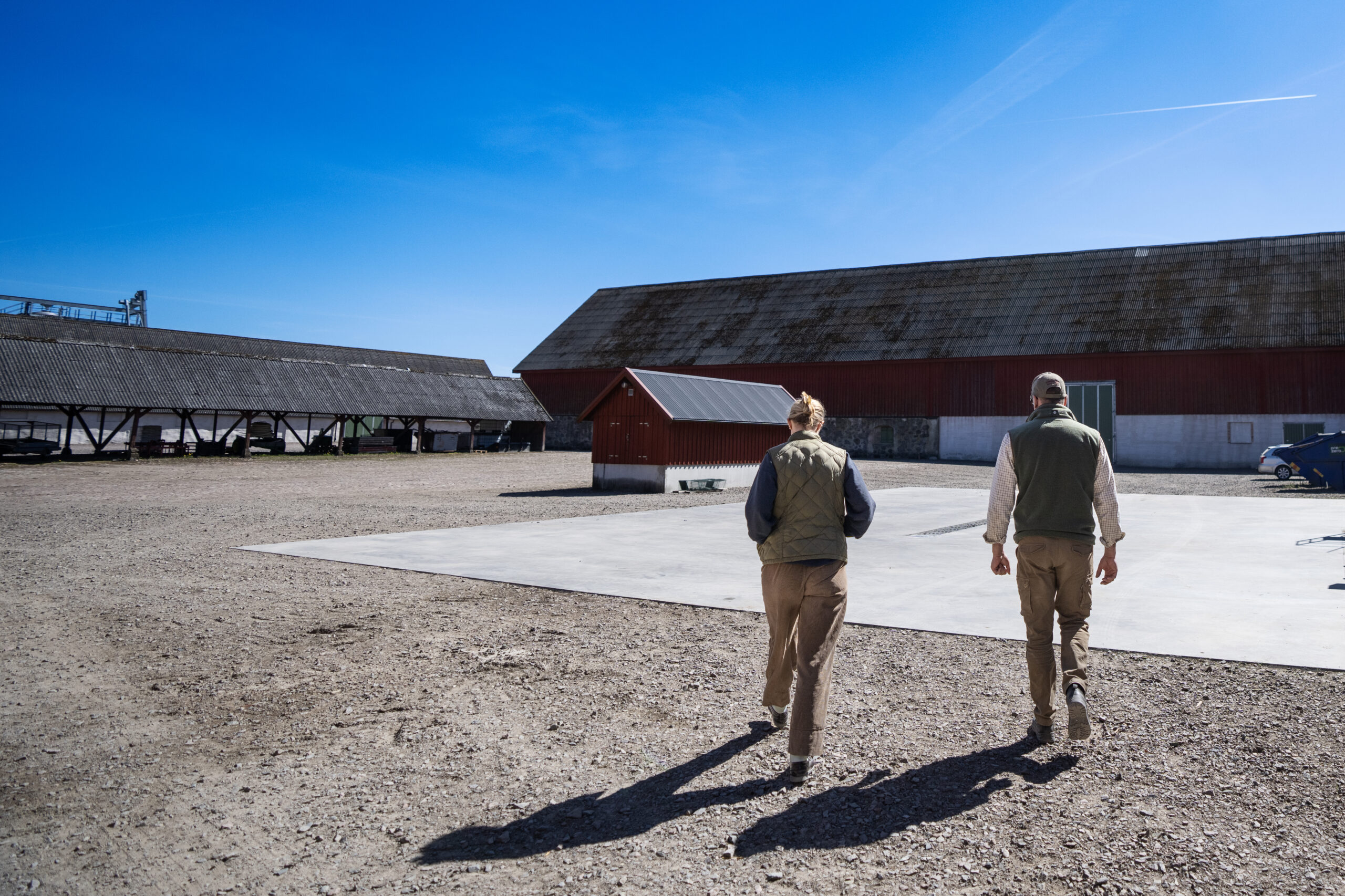 Svensk Fågel söker en Hållbarhetsstrateg med fokus på djuromsorg
