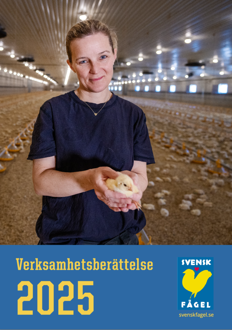 Verksamhetsberattelse 2025